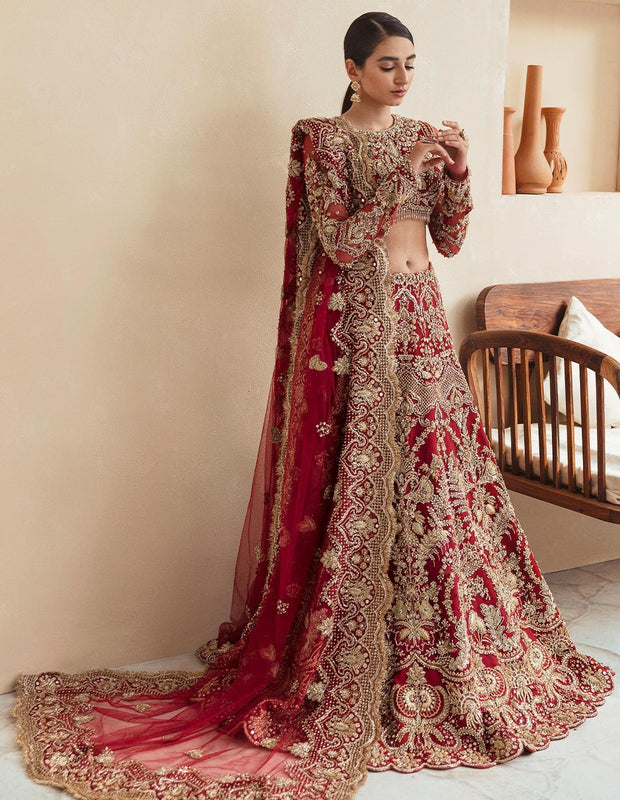 Traditional Red Bridal Lehenga Choli and Dupatta Dress
