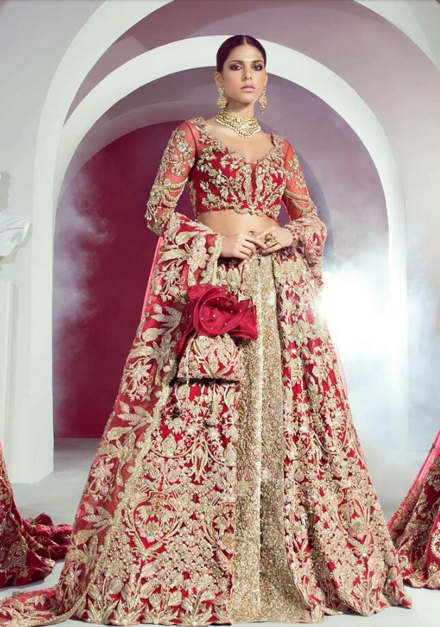 Traditional Red Lehnga Choli for Wedding  Overall Look
