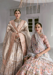 Traditional Tissue Lehenga Choli Bridal Dress Pakistani