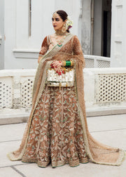 Velvet Choli with Net Lehenga and Dupatta Pakistani Bridal Dress in Beige Gold Color