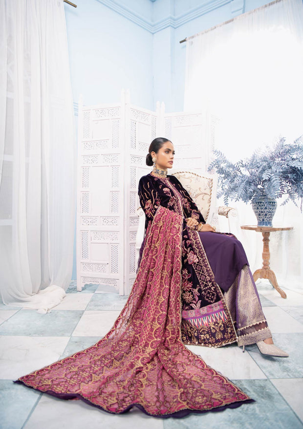 Velvet Dress Pakistani in a Shade of Indigo Designer