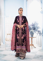Velvet Dress Pakistani in a Shade of Indigo