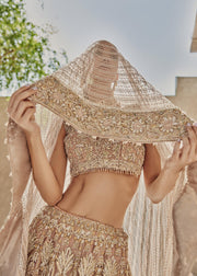 Yellow Golden Lehenga Choli Dress Indian Bridal Wear