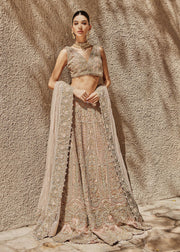 Yellow Golden Lehenga Choli Dress Indian Bridal 
