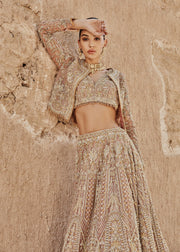Yellow Golden Lehenga Choli 
