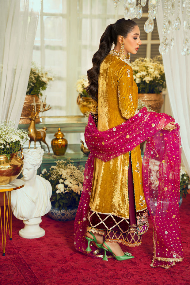 golden velvet dress pakistani Mustard Velvet