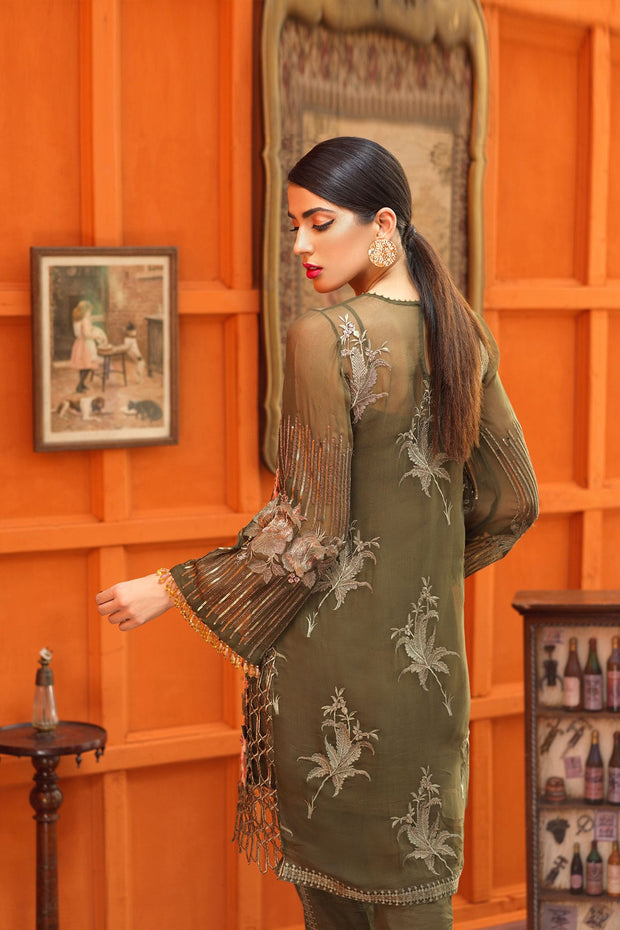 Beautiful Pakistani Designer Party Wear 2