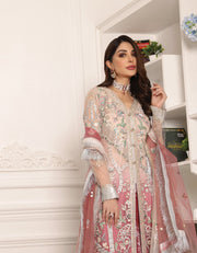 chiffon salwar kameez