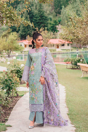 Beautiful Pakistani cotton and organza dress in tiffany blue color