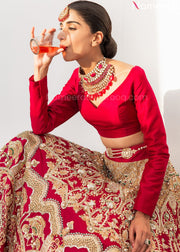 Dark Red Lehenga Choli 