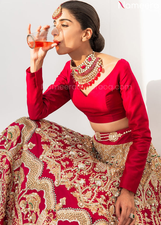 Dark Red Lehenga Choli 