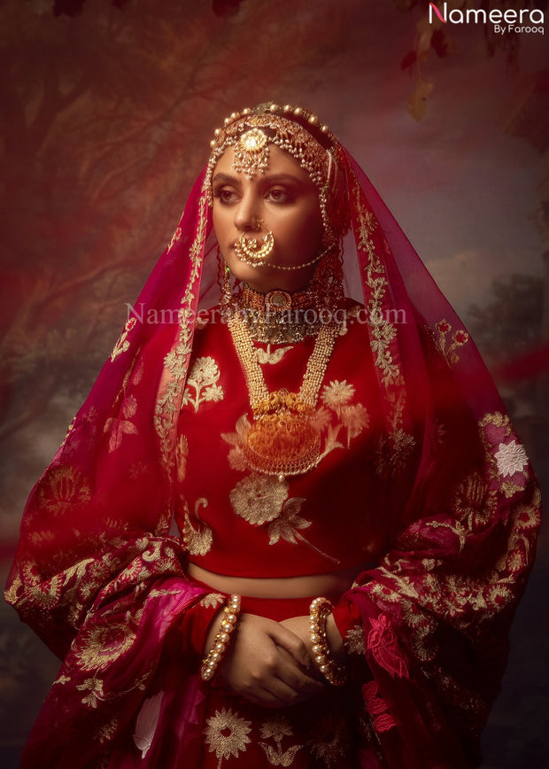 Dark Red Lehenga Choli 