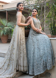 Beautiful gown dress embroidered with pearls in grey color # B3360