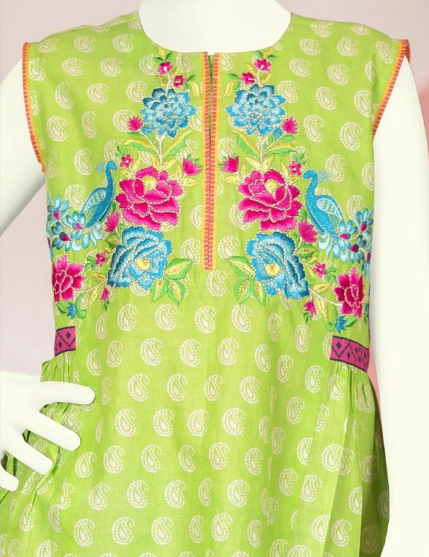 Latest frock design 2019 of Pakistani girls 2