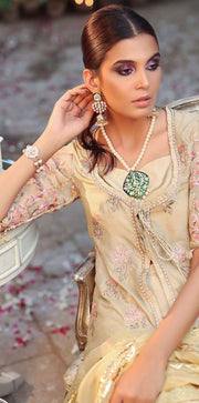 Pakistani designer dress online shopping 2