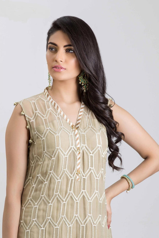 Beautiful Indian chiffon dress in lavish brown color # P2237
