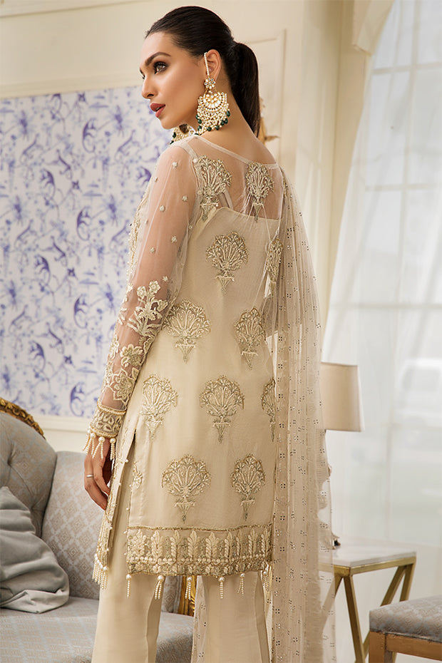 Pakistani net embroidered dress with motifs in skin color LARGE Pakistani net embroidered dress with motifs in skin color LARGE