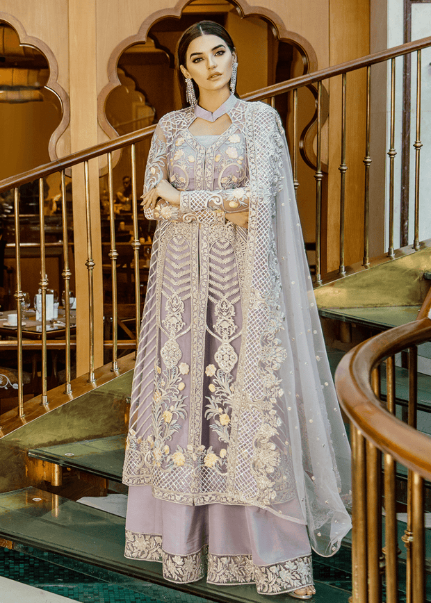 Elegant Pakistani net embroidered dress in violet color