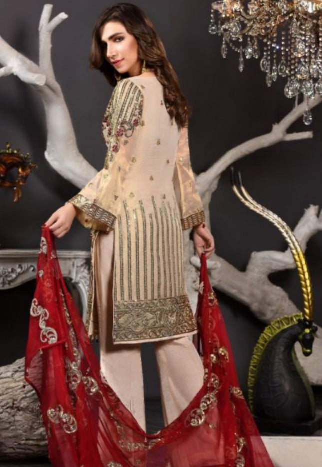 Embroidered Pakistani Chiffon Suit for Events 1