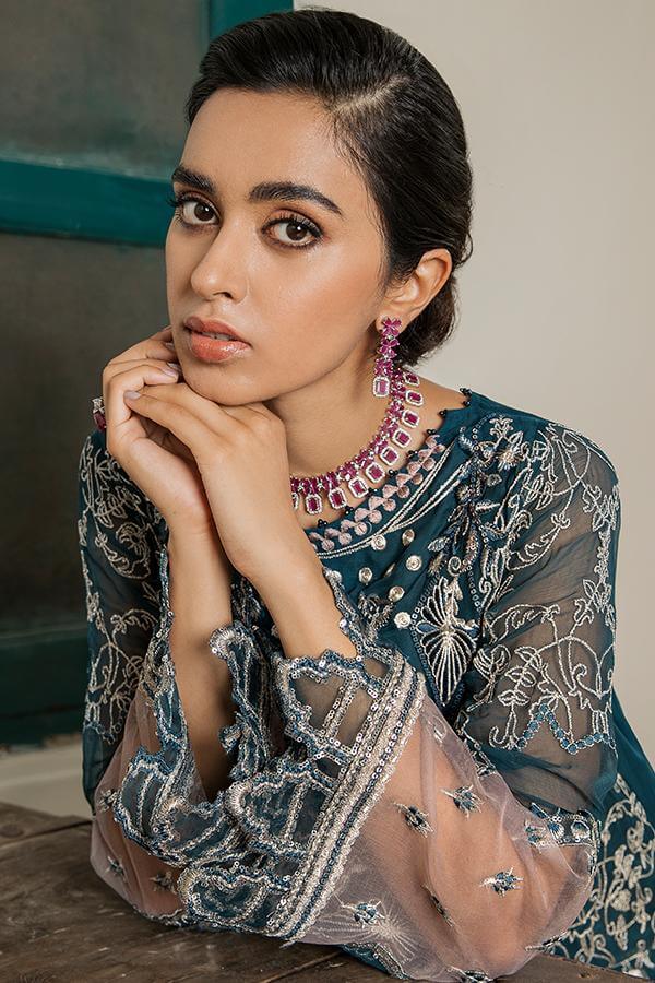 pakistani chiffon dress
