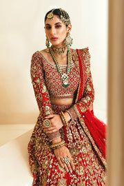 Pakistani Red and Gold Lehenga Choli