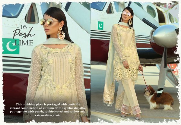 Latest Pakistani Party Dress in Lime Touch 2