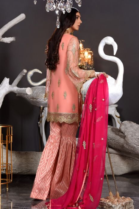 Pakistani Chiffon Dress In Peach Colour