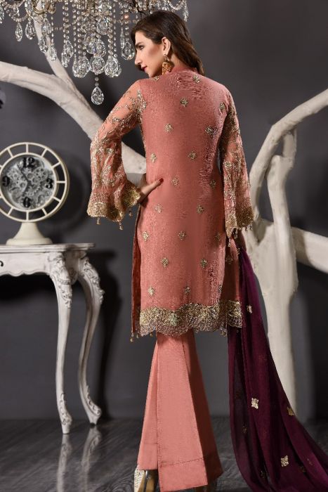 Beautiful Pakistani Party Wear of Peach Colour