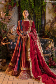 Pakistani Anarkali Frocks 