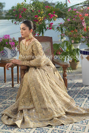pakistani bridal gown