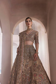 pakistani lehenga choli