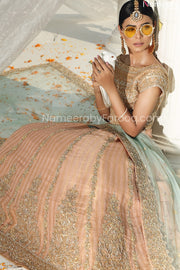 pakistani lehenga choli