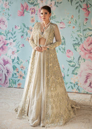 pakistani lehenga choli