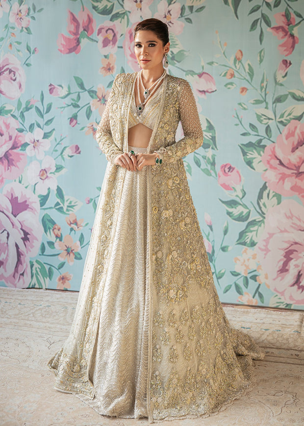 pakistani lehenga choli