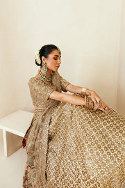 pakistani lehenga choli