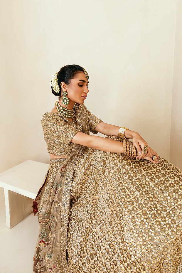 pakistani lehenga choli