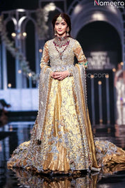 Pakistani Organza Dress 