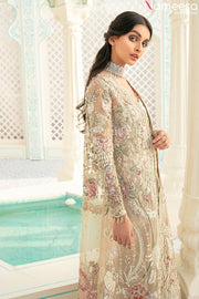 Pakistani wedding dress