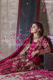 red sharara