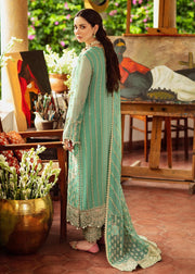 Wedding Party  Salwar Kameez